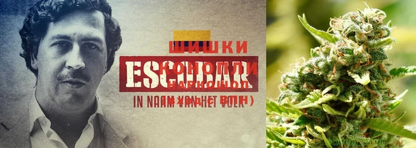 трава Баксан
